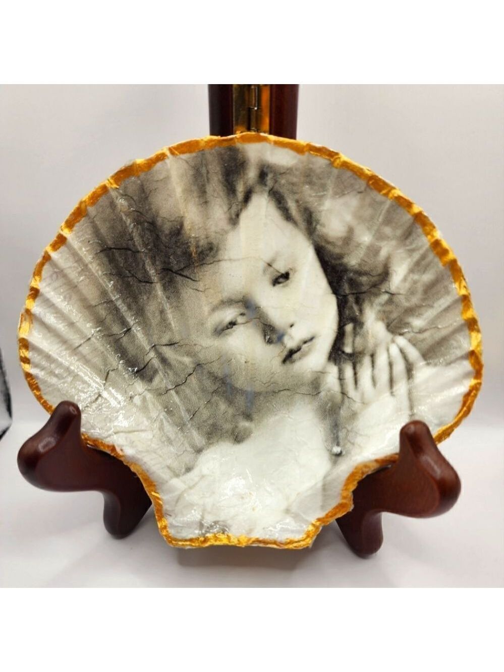 SCALLOPED FAN SHELL 